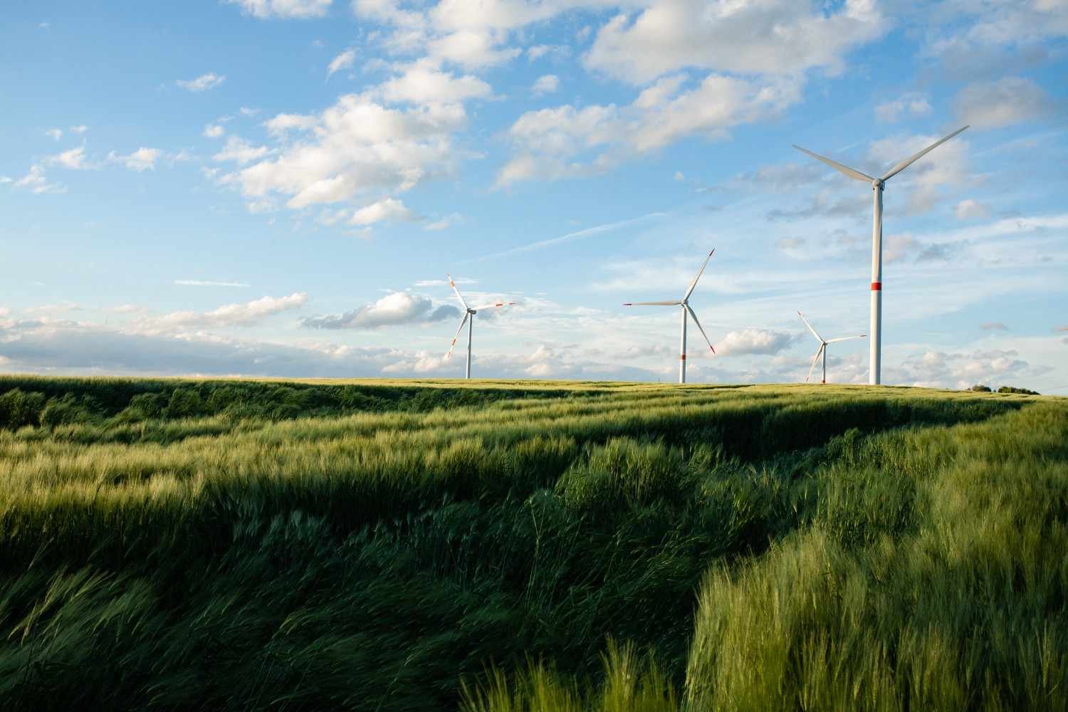 Climate Change and Carbon