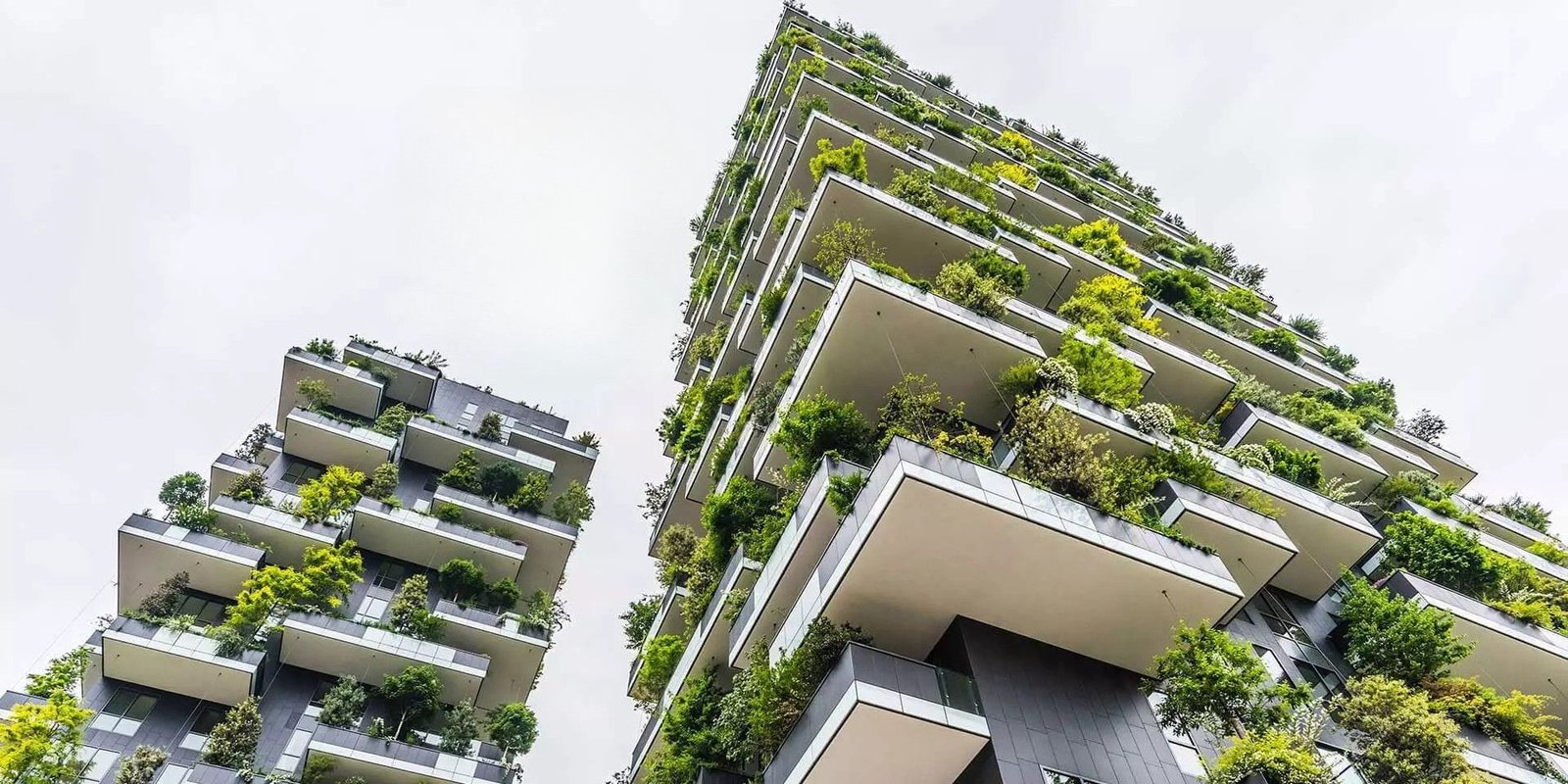 LEED Accredited Professional