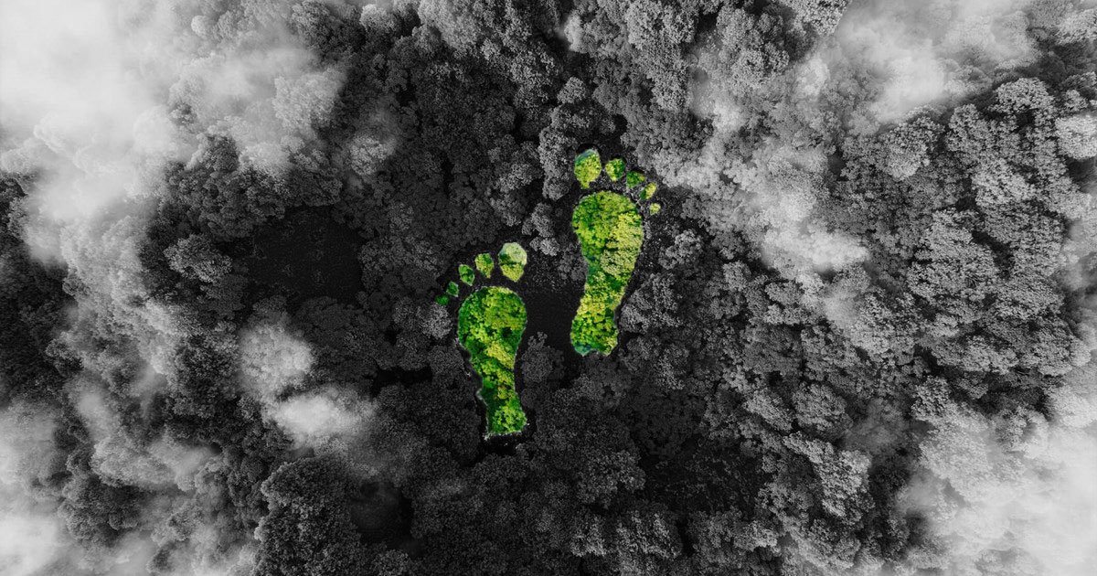 Carbon footprint consultant in Saudi Arabia