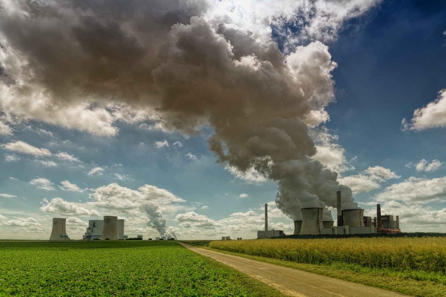 Climate Change and Carbon